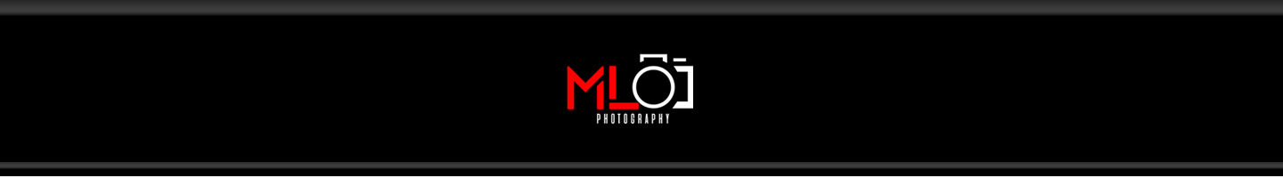 Top Logo Banner